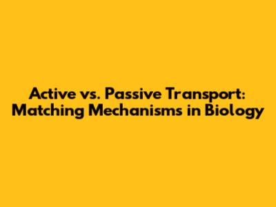 Active vs. Passive Transport: Matching Mechanisms in Biology