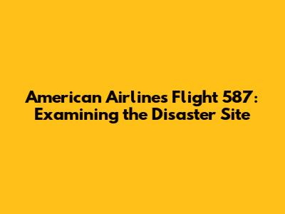 American Airlines Flight 587: Examining the Disaster Site