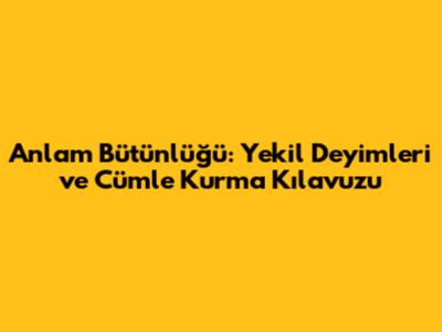 Anlam Bütünlüğü: Yekil Deyimleri ve Cümle Kurma Kılavuzu