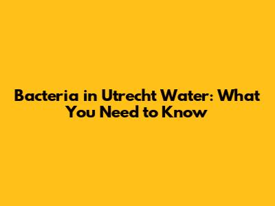 Bacteria in Utrecht Water: What You Need to Know