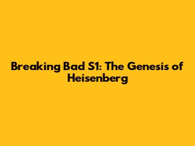 Breaking Bad S1: The Genesis of Heisenberg