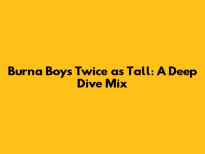 Burna Boy's Twice as Tall: A Deep Dive Mix