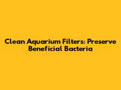 Clean Aquarium Filters: Preserve Beneficial Bacteria