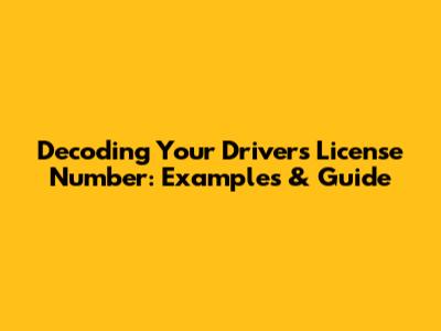 Decoding Your Driver's License Number: Examples & Guide