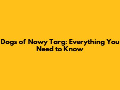 Dogs of Nowy Targ: Everything You Need to Know