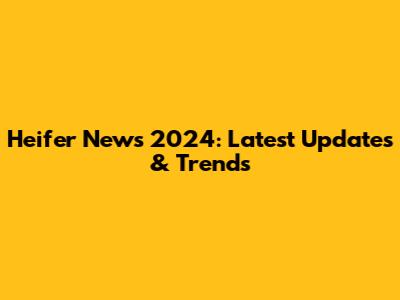 Heifer News 2024: Latest Updates & Trends