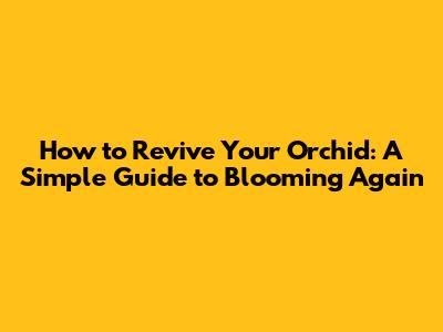 How to Revive Your Orchid: A Simple Guide to Blooming Again