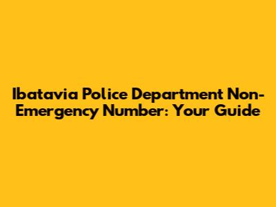 Ibatavia Police Department Non-Emergency Number: Your Guide