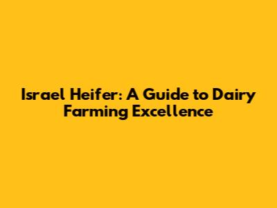 Israel Heifer: A Guide to Dairy Farming Excellence