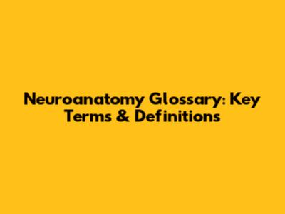 Neuroanatomy Glossary: Key Terms & Definitions