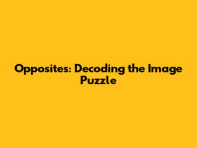 Opposites: Decoding the Image Puzzle