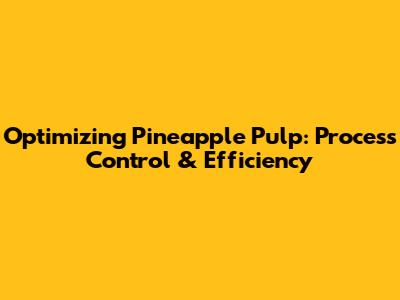 Optimizing Pineapple Pulp: Process Control & Efficiency