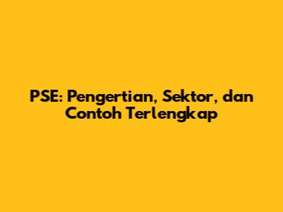 PSE: Pengertian, Sektor, dan Contoh Terlengkap
