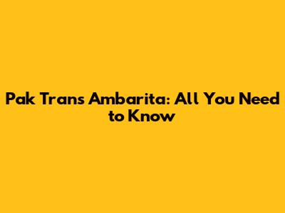 Pak Trans Ambarita: All You Need to Know