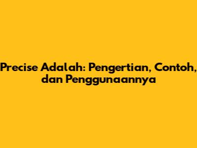 Precise Adalah: Pengertian, Contoh, dan Penggunaannya