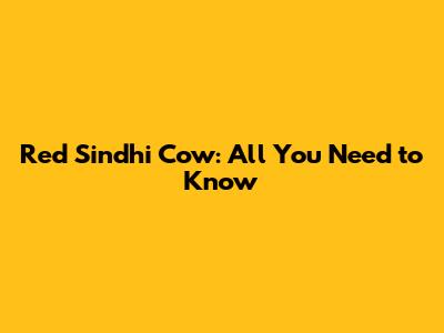 Red Sindhi Cow: All You Need to Know