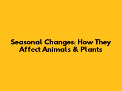 Seasonal Changes: How They Affect Animals & Plants