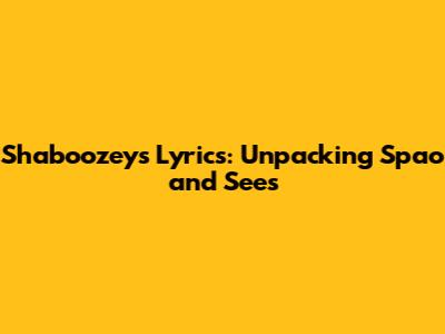 Shaboozey's Lyrics: Unpacking 'Spao' and 'Sees'
