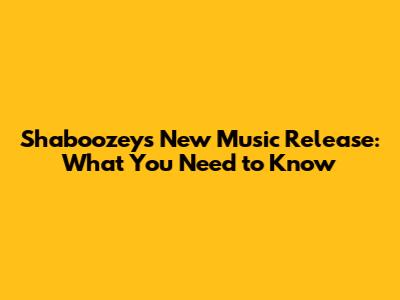 Shaboozey's New Music Release: What You Need to Know