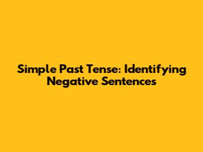 Simple Past Tense: Identifying Negative Sentences