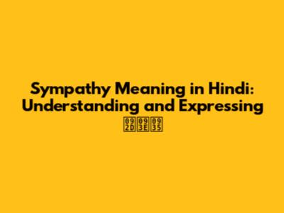 Sympathy Meaning in Hindi: Understanding and Expressing भाव