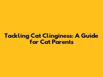 Tackling Cat Clinginess: A Guide for Cat Parents