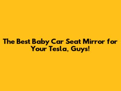 The Best Baby Car Seat Mirror for Your Tesla, Guys!