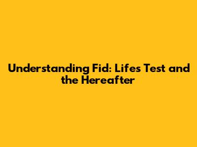 Understanding Fid: Life's Test and the Hereafter