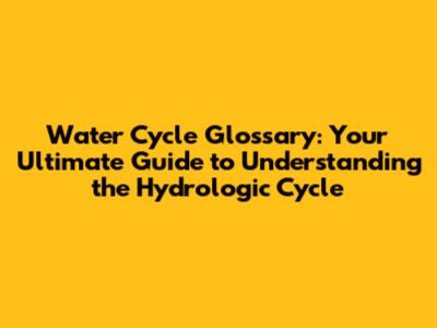 Water Cycle Glossary: Your Ultimate Guide to Understanding the Hydrologic Cycle