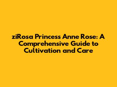 ziRosa 'Princess Anne' Rose: A Comprehensive Guide to Cultivation and Care